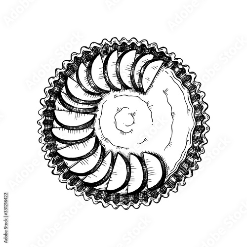 Traditional apple pie sketch. Vector illustration of ink hand drawn fruit and berry baking. Homemade apple cake drawing. Sweet bakery. 