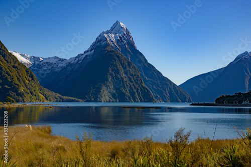 Milford Sound at Fiordland National Park in New Zealand