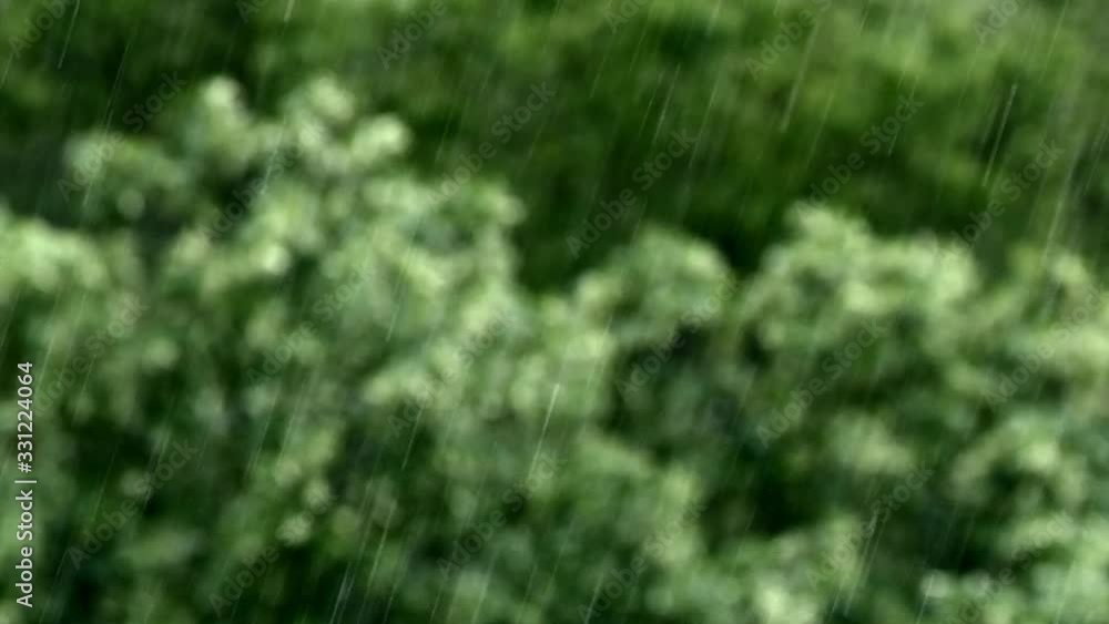 Heavy raining water pouring against blurred background
