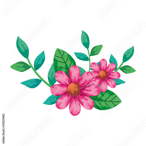 cute flowers pink with branches and leafs isolated icon vector illustration design © Gstudio