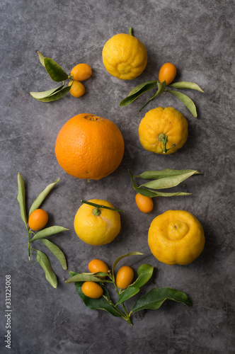Grey background. Various types of citrus fruits. 