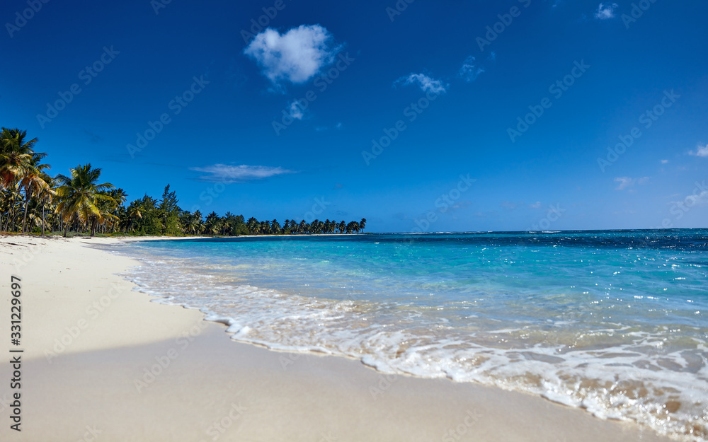 Tropical island. View of the beach from the water.