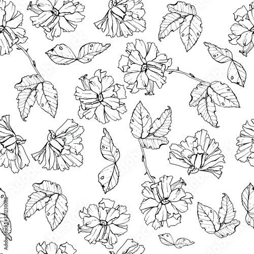 Background of rose flowers. Seamless pattern. Vector graphics.