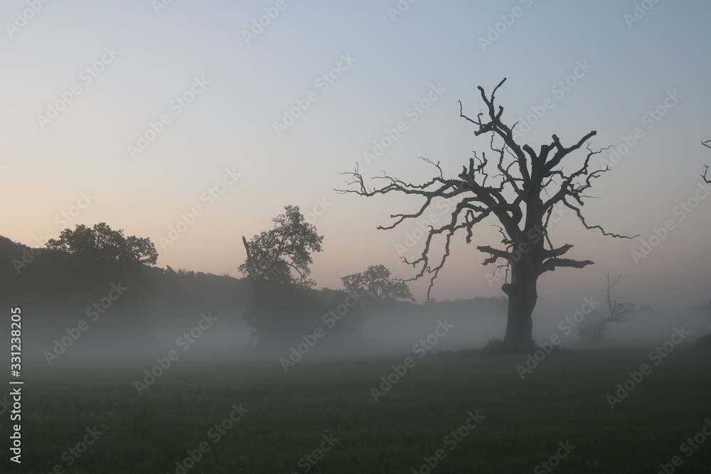 Obraz premium Przed świtem