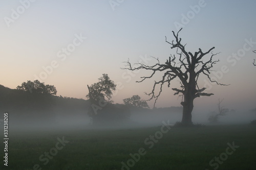 Wallpaper Mural Przed świtem Torontodigital.ca