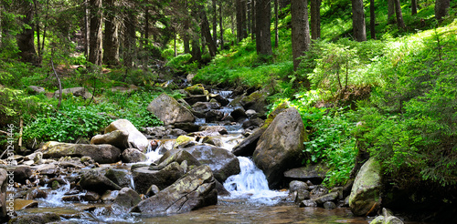 Foto Landscape with mountains, forest and a river in front