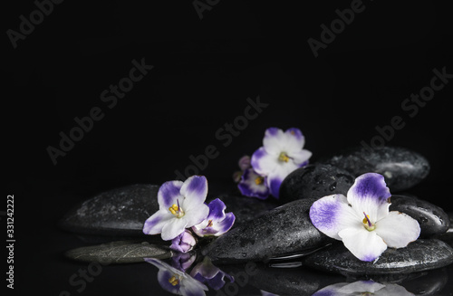 Stones and flowers in water on black background  space for text. Zen lifestyle