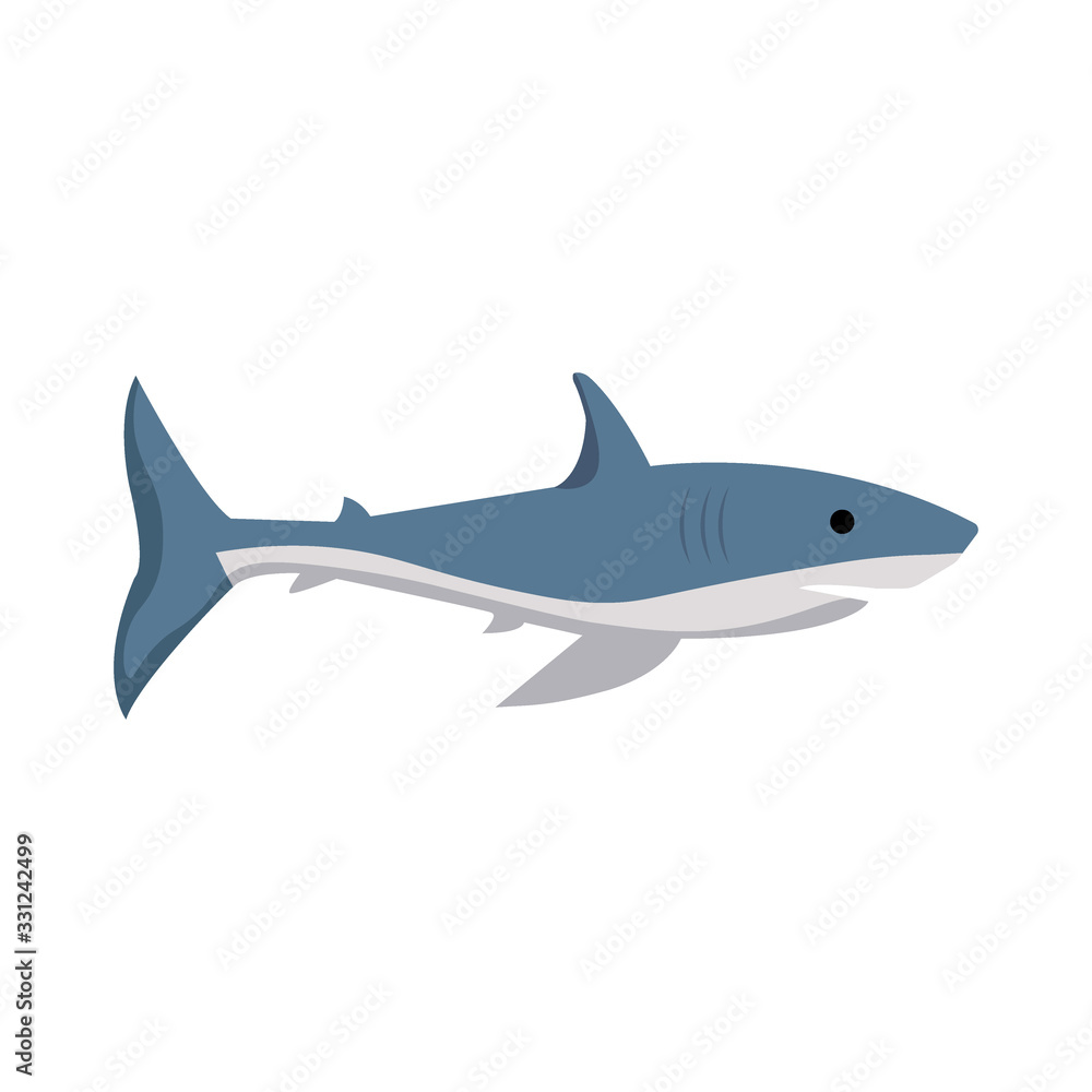 Fototapeta premium Vector image of a shark on a white background