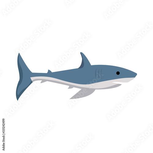 Vector image of a shark on a white background