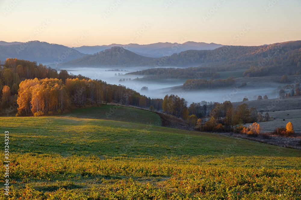 The morning sun illuminates the field and forest. Fog in a mountain valley. Altai. - obrazy, fototapety, plakaty 