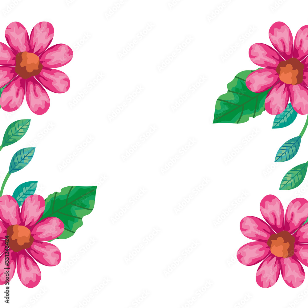 frame of flowers pink color with leafs natural vector illustration design