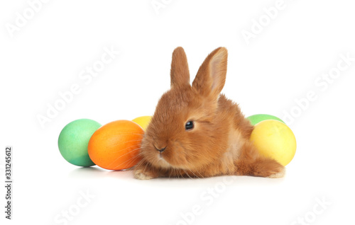 Adorable fluffy bunny near Easter eggs on white background © New Africa
