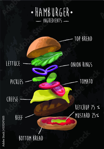 Burger infographic with food layered with text photo