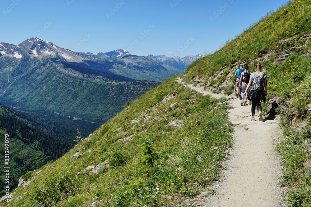 three hikers walking along a trail on a steep grassy mountainside in the alpine