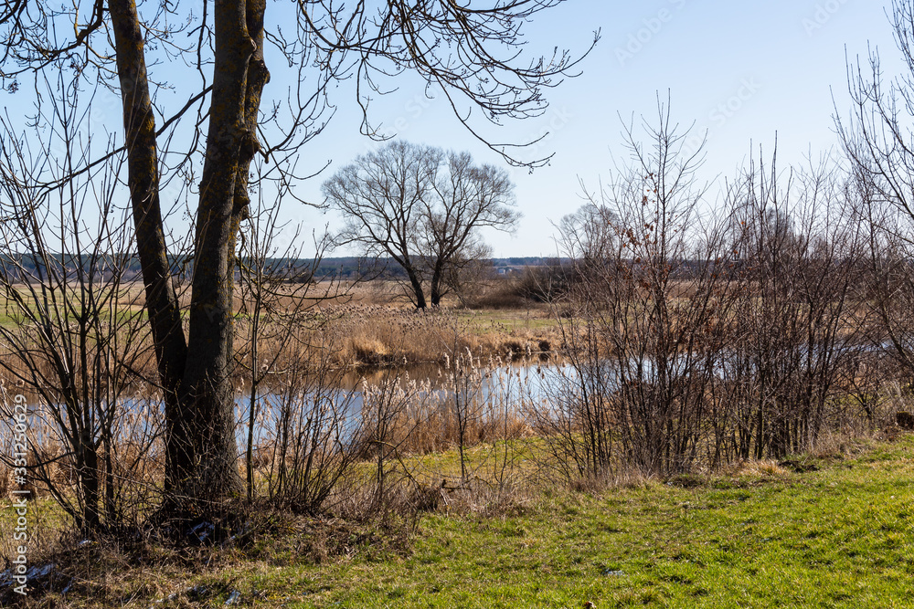 Rzeka Narew. Wiosna nad Narwią. Podlasie. Polska Rzeka Narew. Wiosna nad Narwią. Podlasie. Polska