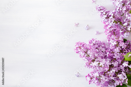 beautiful lilac flowers on white background
