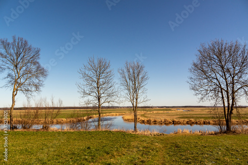 Fototapeta Naklejka Na Ścianę i Meble -  Rzeka Narew. Wiosna nad Narwią. Podlasie. Polska