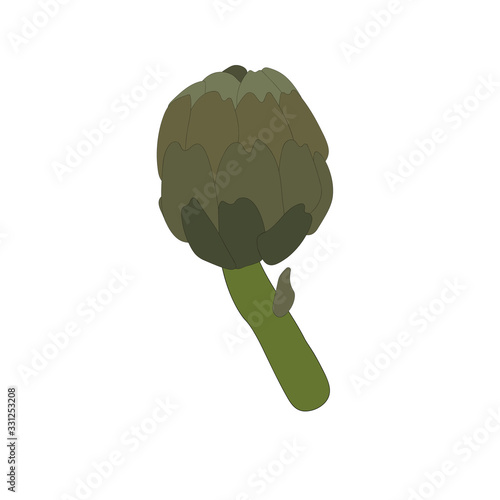 Beautiful closeup of  artichoke on white background for lifestyle design. Organic food. Organic ingredient. Vector illustration art. Farm fresh vegetable Cynara