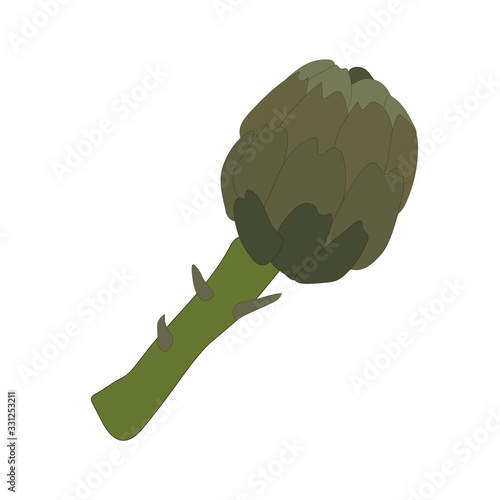 Beautiful closeup of  artichoke on white background for lifestyle design. Organic food. Organic ingredient. Vector illustration art. Farm fresh vegetable Cynara