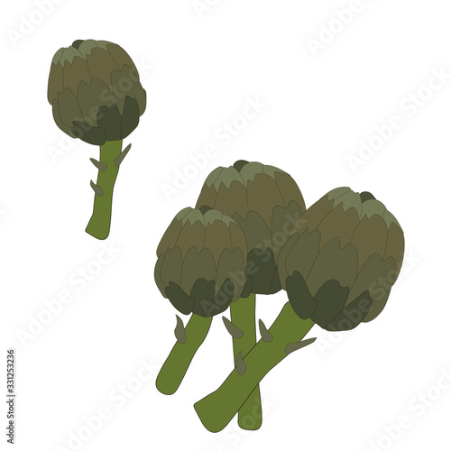 Beautiful set closeup of  artichoke on white background for lifestyle design. Organic food. Organic ingredient. Vector illustration art. Farm fresh vegetable Cynara