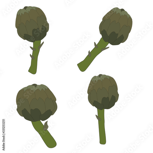 Beautiful set closeup of  artichoke on white background for lifestyle design. Organic food. Organic ingredient. Vector illustration art. Farm fresh vegetable Cynara