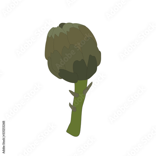 Beautiful closeup of  artichoke on white background for lifestyle design. Organic food. Organic ingredient. Vector illustration art. Farm fresh vegetable Cynara
