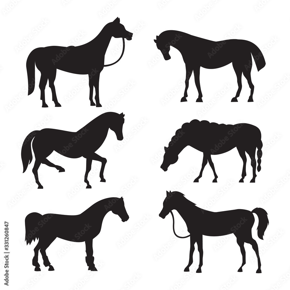 Cute horse in various poses vector design. Collection of animal horses standing, Different silhouette.