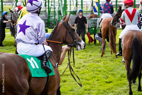 Race horses and jockeys lining up to enter the starting gate