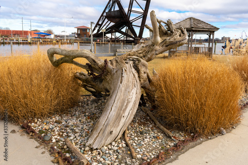 Tree stump and tall grass