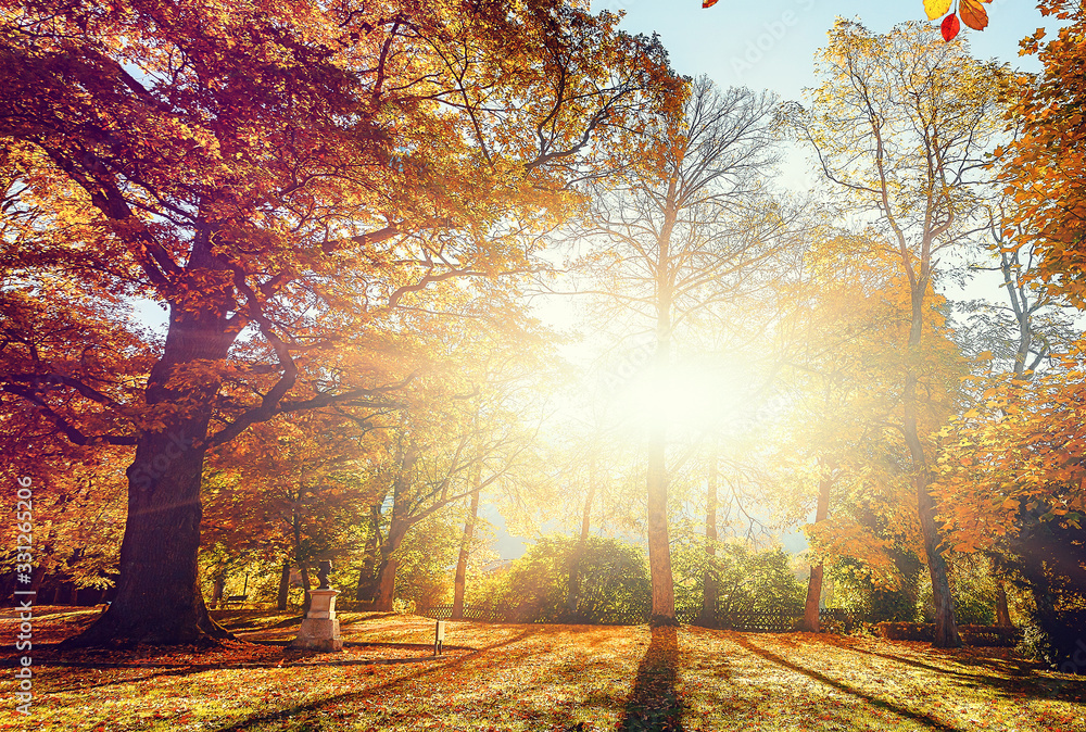 Fototapeta premium Awesome alpine forest in sunny day. Scenic image of fairy-tale woodland in sunlit. Touristic footpath under Colorful foliage in the autumn park in Austrian Alps. near Alpine lake. Autumn Background