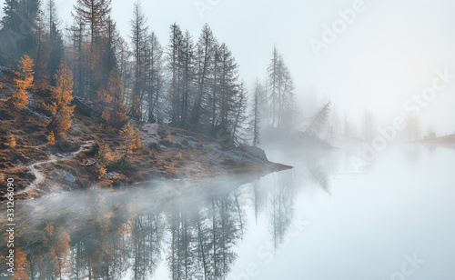 Magical nature landscape. Fantastic view in a foggy morning with mountain and reflection in Banff National Park, Canada. Awecome natural background. Picture of wild area