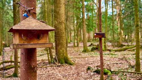 Photography homemade bird feed in moscow