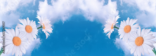 Foto Amazing fantasy daisy flowers against sky with fluffy clouds on  sunny day, eco