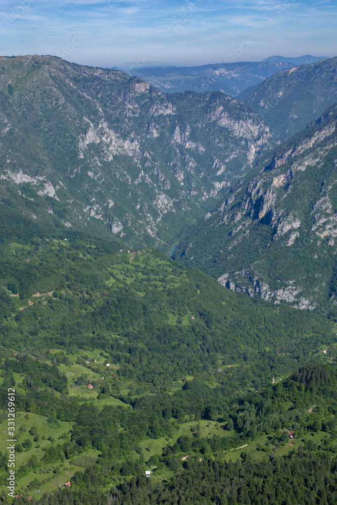 Wild high mountains spruce forest in Durmitor national park Montenegro.