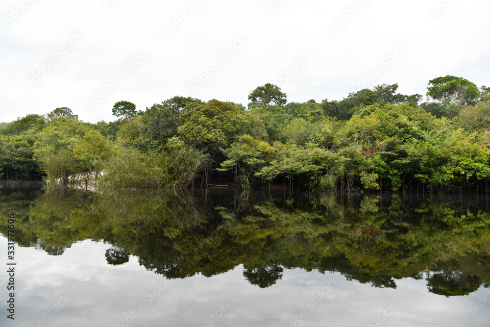 Amazonian wildlife view from a boat of one of the tributaries Amazonian wildlife view from a boat of one of the tributaries