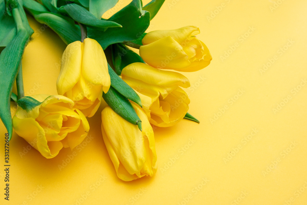 Yellow tulips flowers on a yellow background. Waiting for spring. Happy Easter card. Flat lay, top view. Copy space for text Yellow tulips flowers on a yellow background. Waiting for spring. Happy Easter card. Flat lay, top view. Copy space for text