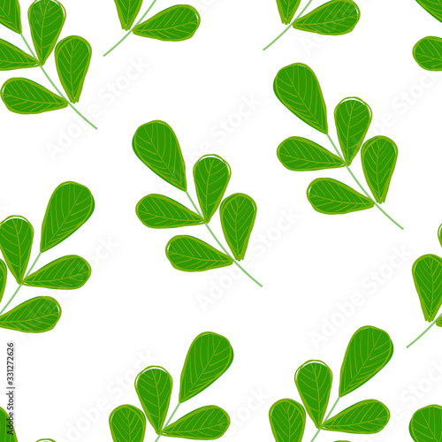 Seamless pattern of green different leaves. Spring or summer illustration in flat and doodle style with hand draw outline. Cute trendy botanical background. 