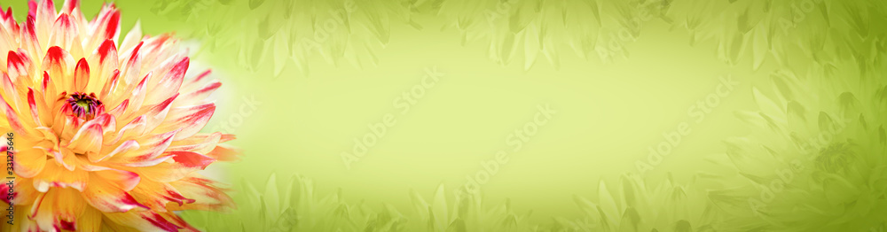 Panoramic flowers background Panoramic flowers background