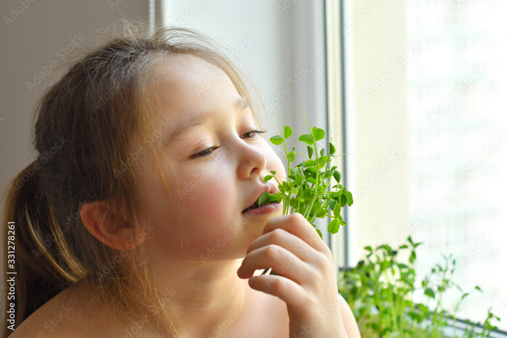 Happy girl eats pea microgreen .vegeterian concept.good appetite. spring avitaminosis.sprout vegetables germinated from high quality organic plant seed on linen mat.superfood Happy girl eats pea microgreen .vegeterian concept.good appetite. spring avitaminosis.sprout vegetables germinated from high quality organic plant seed on linen mat.superfood