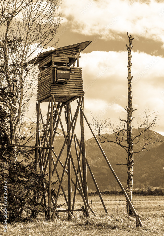 Naklejka premium wildlife observation point