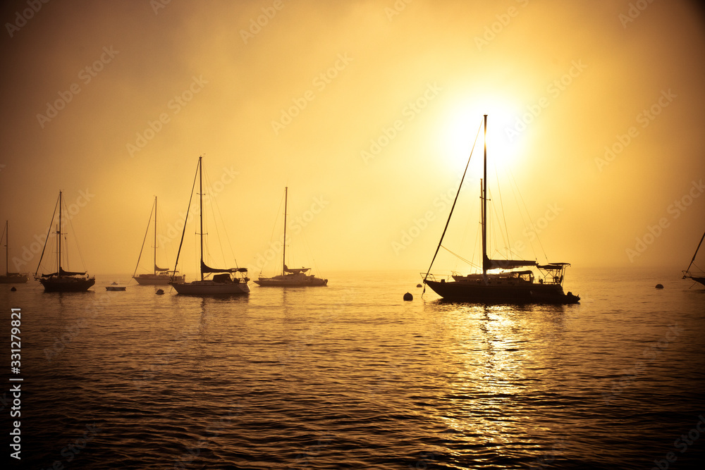 Sailboats along foggy California coast