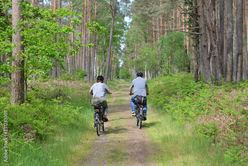 Radfahrer im Darßer Wald