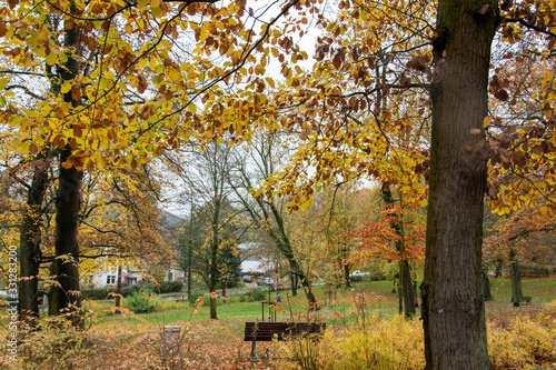 Spaziergang im Herbst durch einen Park in Lübbecke am Waldrand des Wiehengebirges.