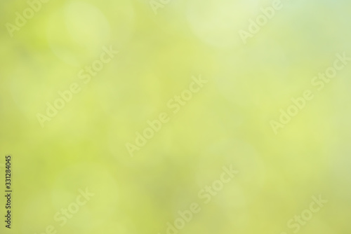 Blurred bokeh nature background. Abstract natural backdrop of park or garden. Soft defocused photo of plants with leaves and stems. Tree, bush or grass made with bokeh effect. 