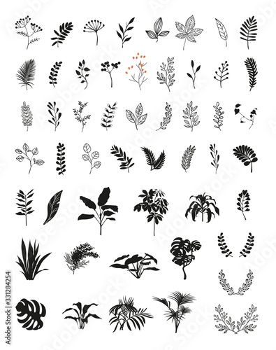Set of vector tropical flowers and leaves,black silhouette isolated on white background. Hand drawn illustration .