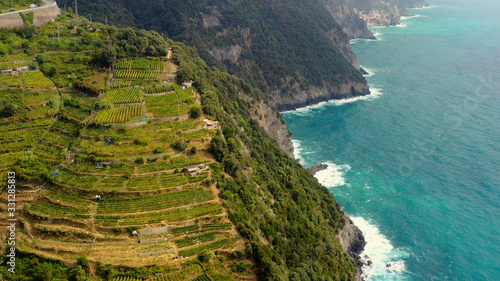 Fotografie Amazing aerial shot over the vineyards on the terraces, along the Cinque Terre m