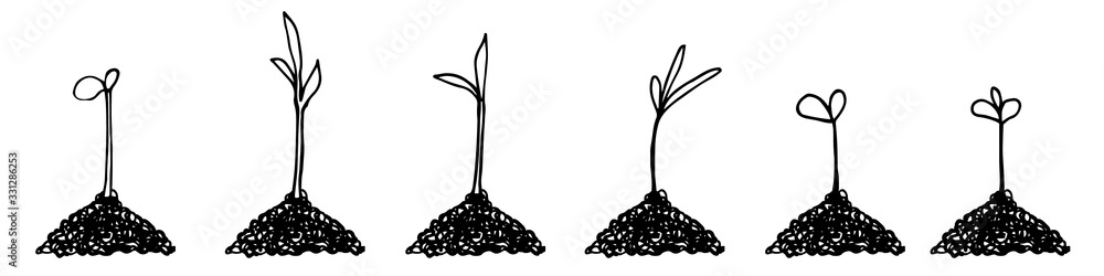 Seedlings in hand drawn doodle style. Garden vector illustration. Isolated on white. - obrazy, fototapety, plakaty 