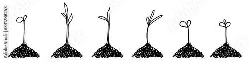 Seedlings in hand drawn doodle style. Garden vector illustration. Isolated on white.