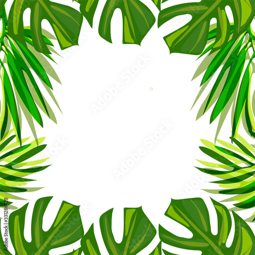 tropical monstera leaves frame trendy palm trees for design cards