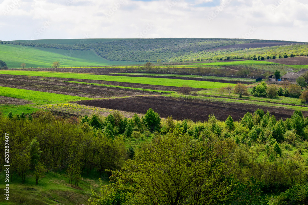Rural, rustic landscape with green and freshly plowed fields agricultural fields, trees and grass on spring hills. Picturesque spring view.